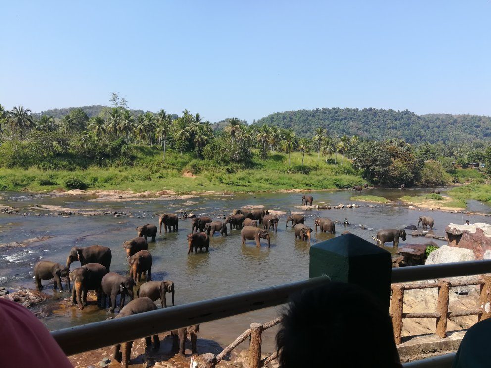 Dambulla Village