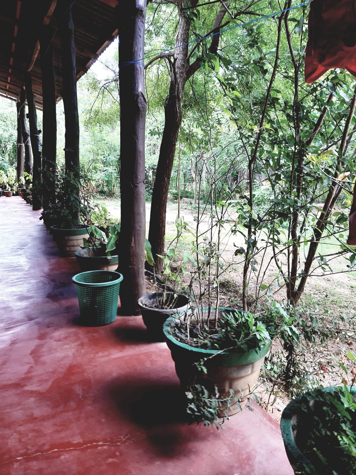 Araliya Self Cooking Resort Dambulla