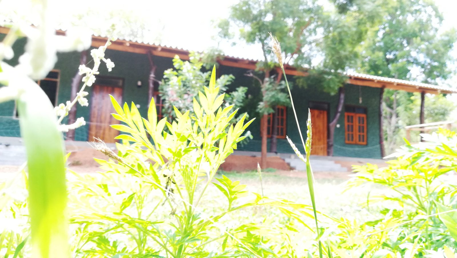 Araliya Self Cooking Resort Dambulla