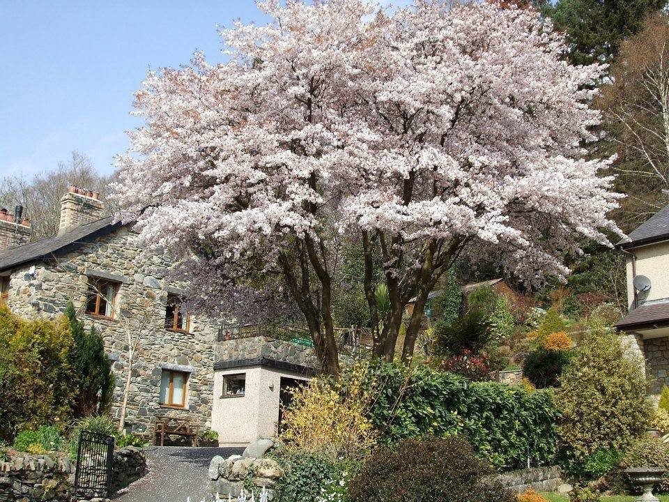 Glasfryn Snowdonia Accommodation