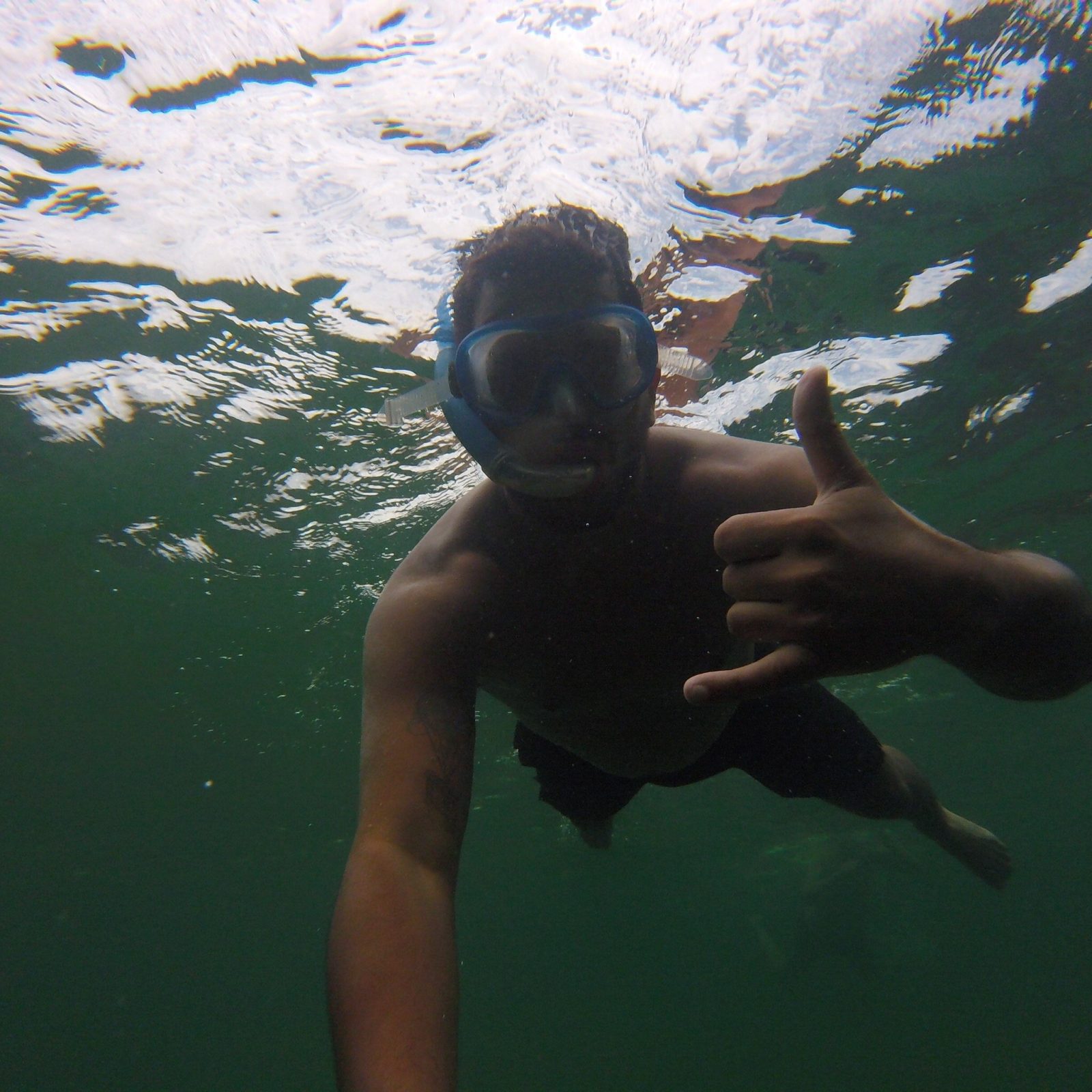 Ilha Grande House