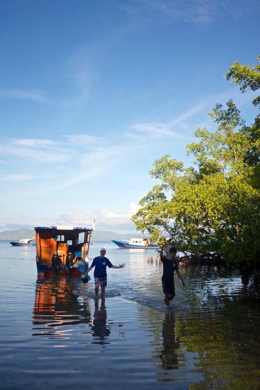 2 fish divers bunaken