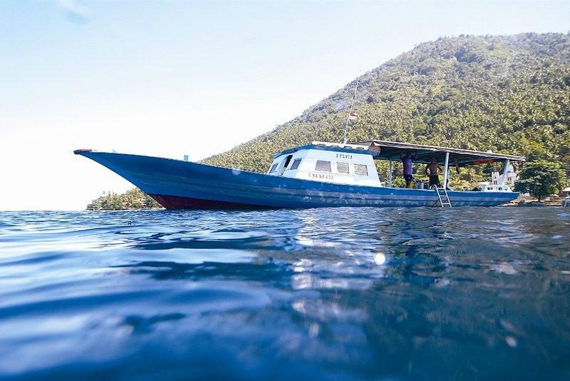 2 fish divers bunaken