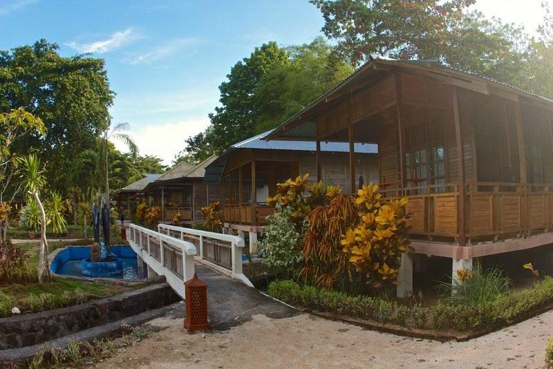 2 fish divers bunaken