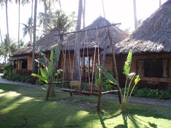 Lucy Resort