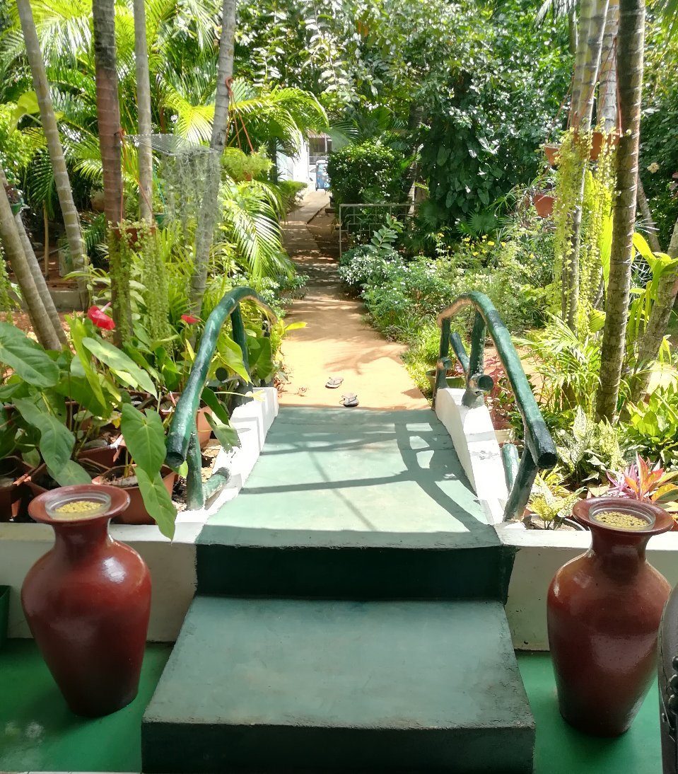 City Paradise Dambulla
