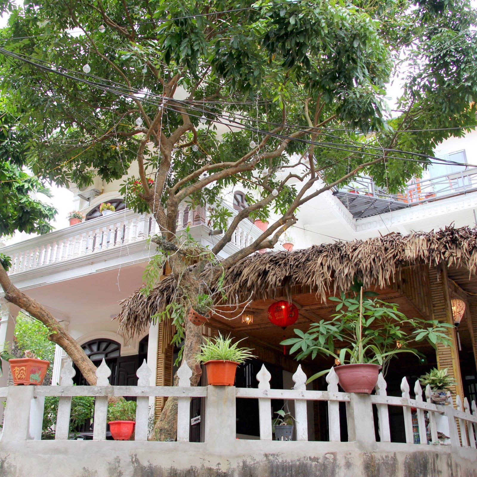 Tam Coc Dream Hotel