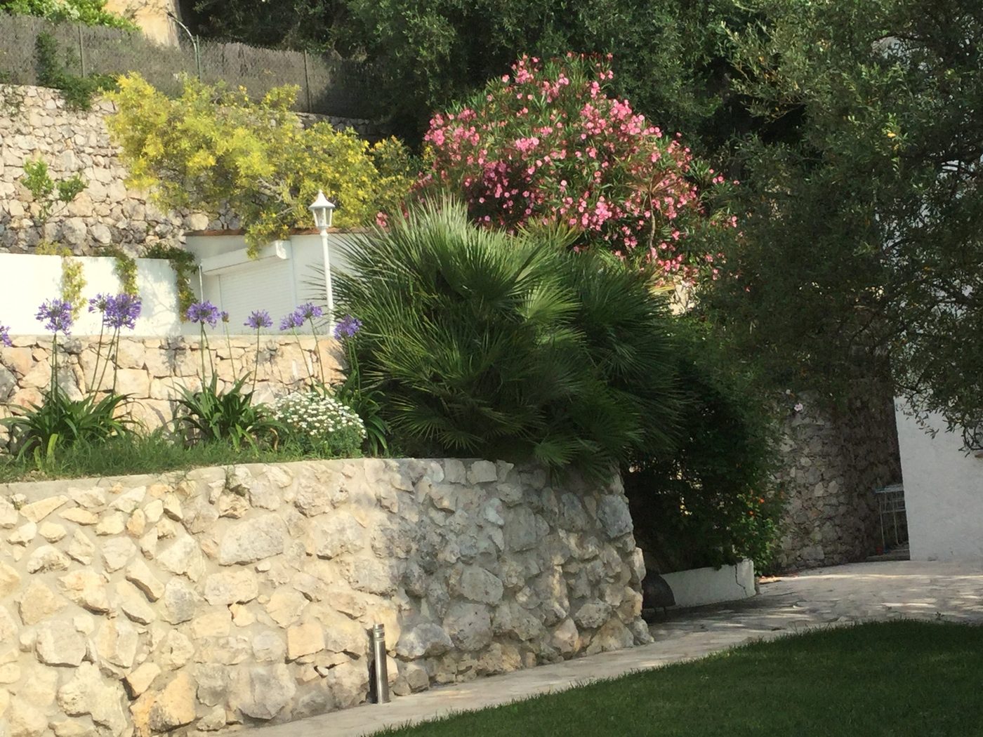 Villa Monte Carlo View