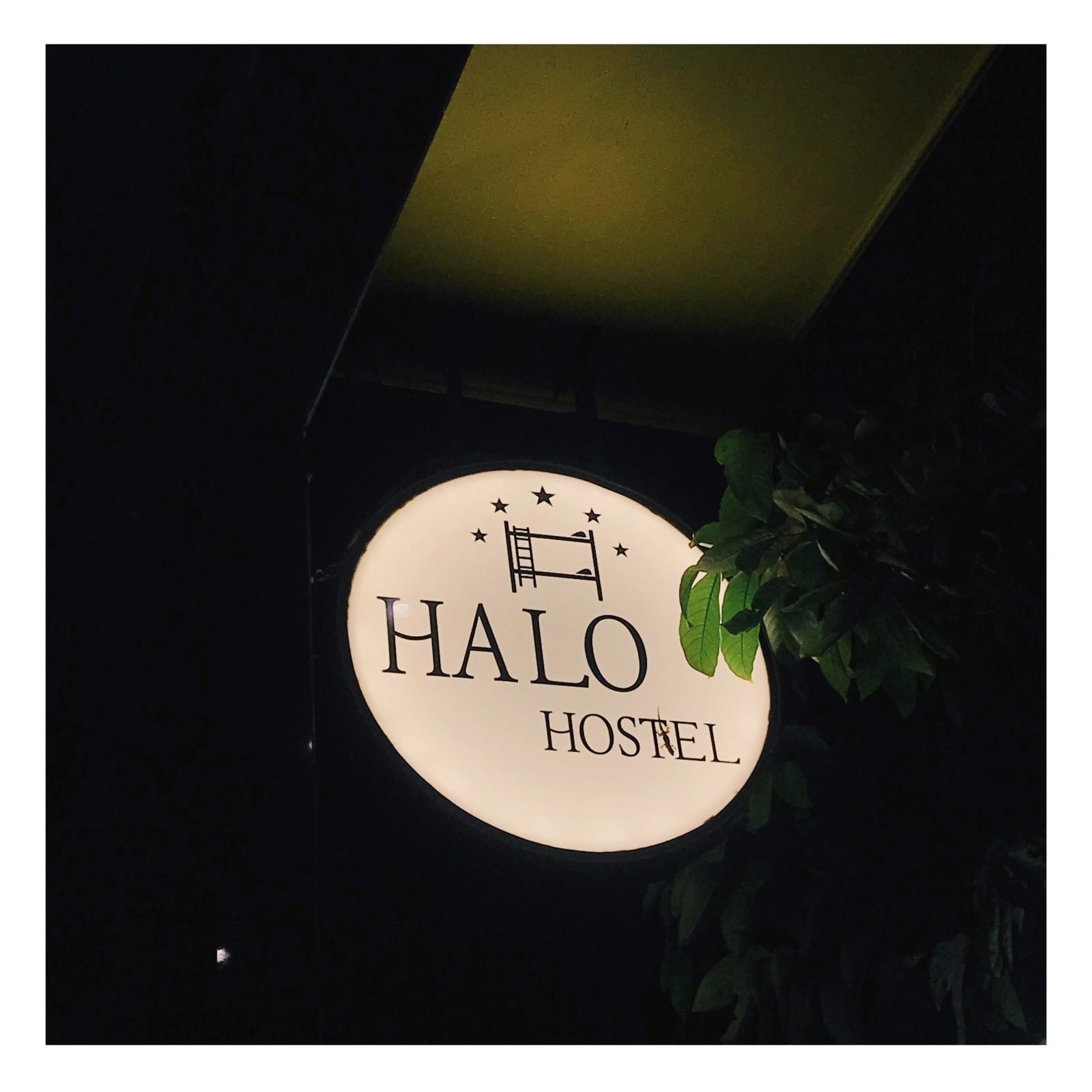 Halo Hostel Quy Nhon city