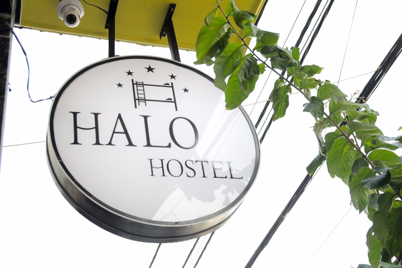 Halo Hostel Quy Nhon city