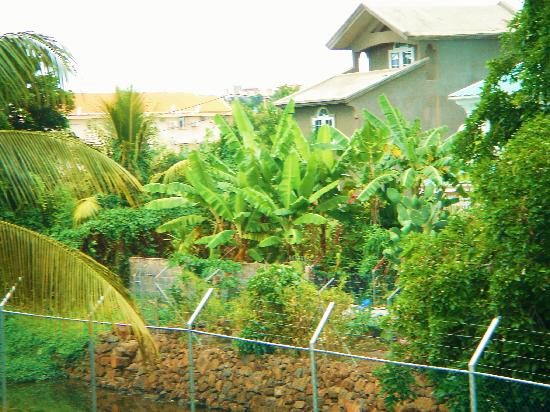 Residence Les Lataniers