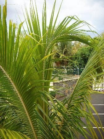 Residence Les Lataniers