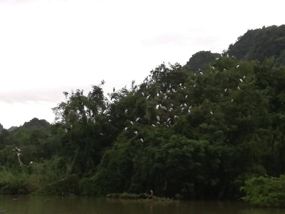 Tam Coc Lake View Bungalow