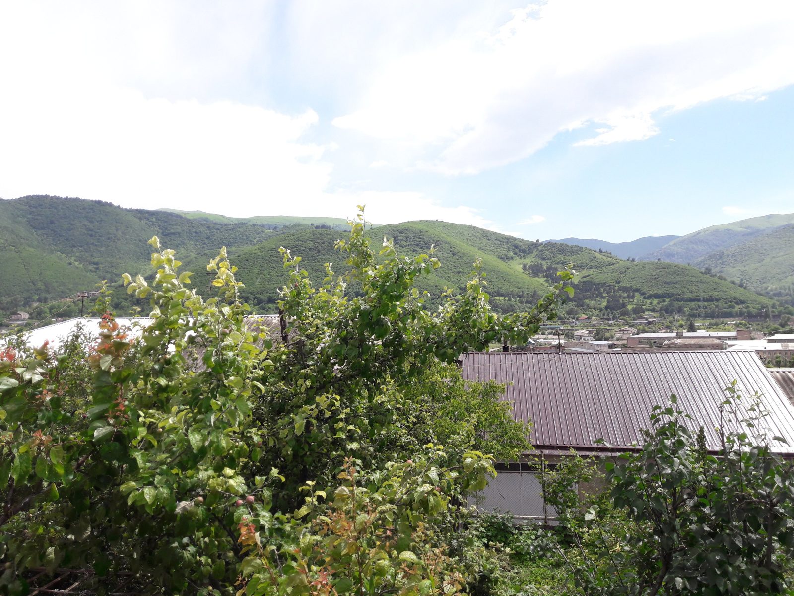 Vanadzor Guest House