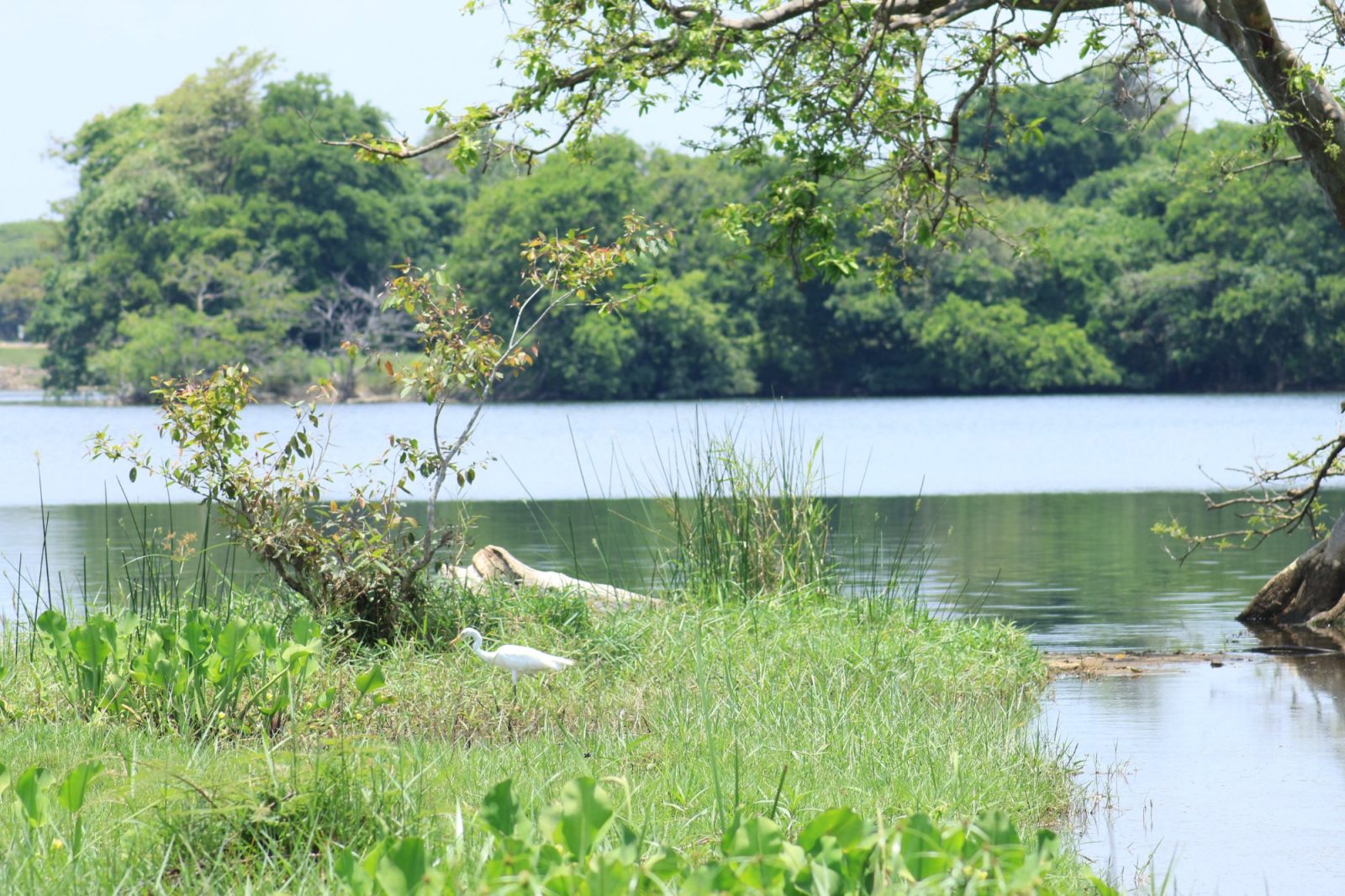 Dambulla Lake Hotel