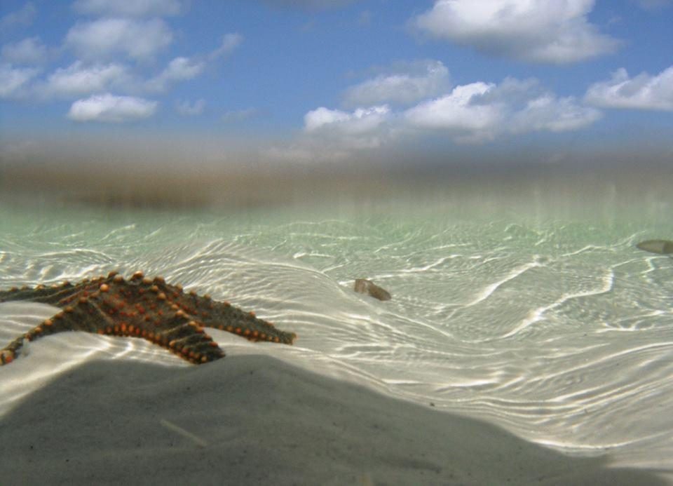 waterlovers beach hotel diani