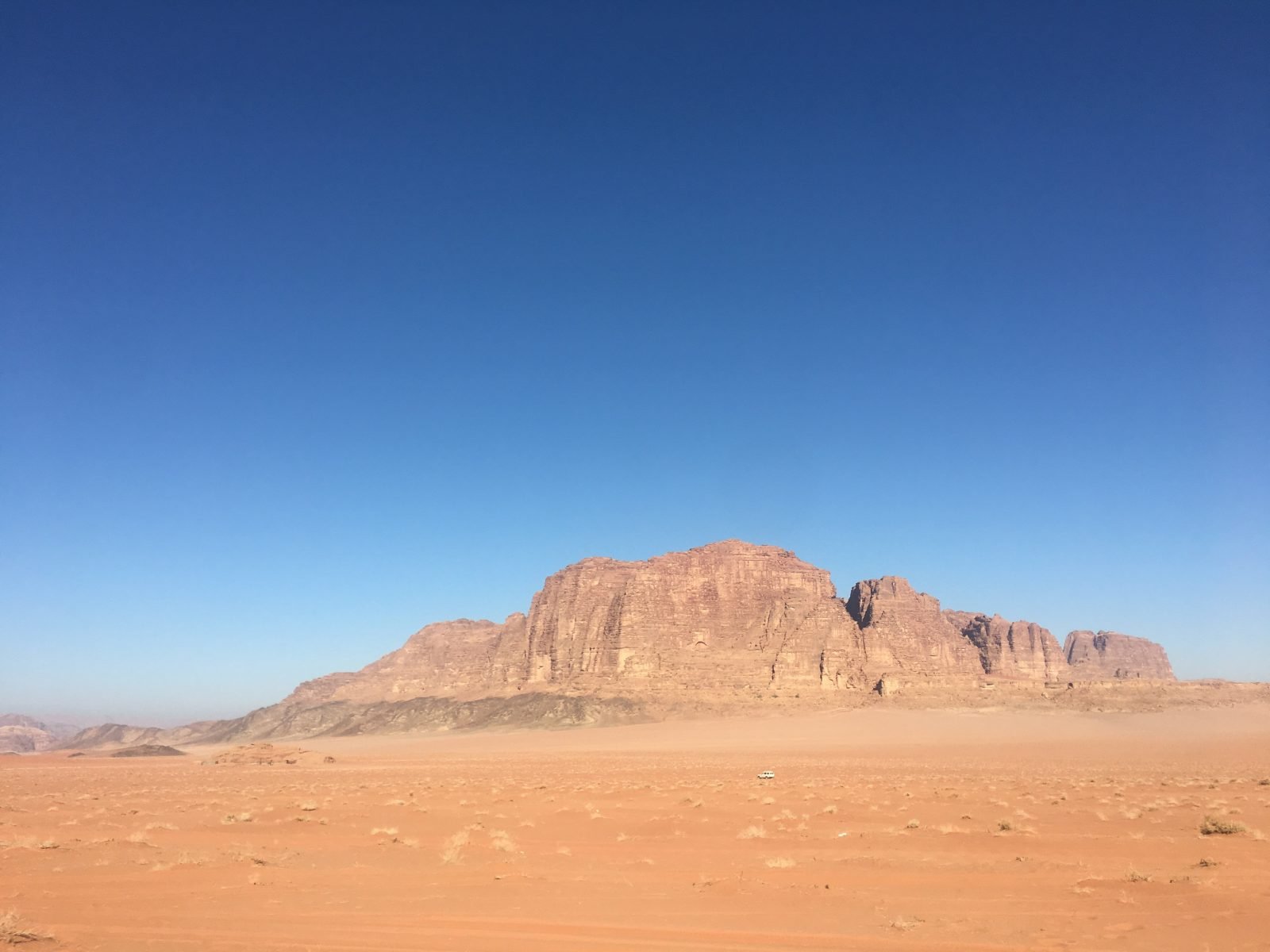 Wadi Rum Flowers Camp