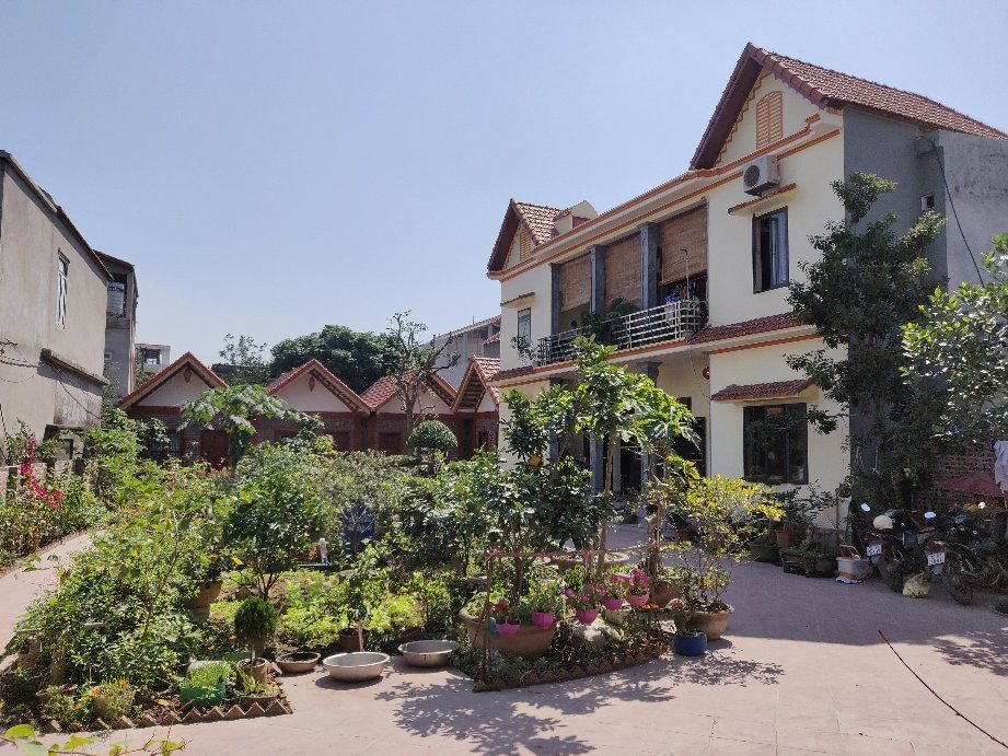 Tam Coc Cozy Homestay
