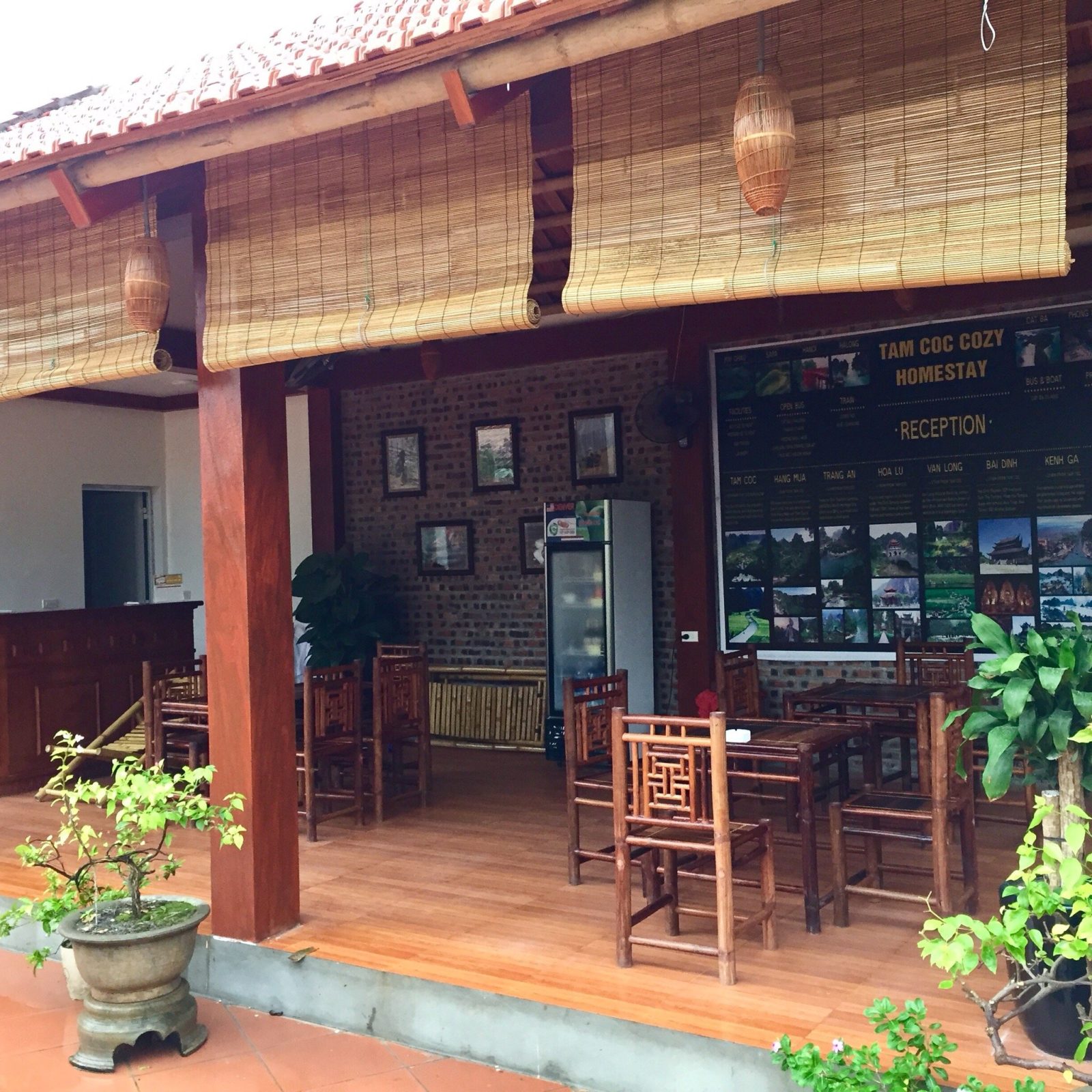 Tam Coc Cozy Homestay