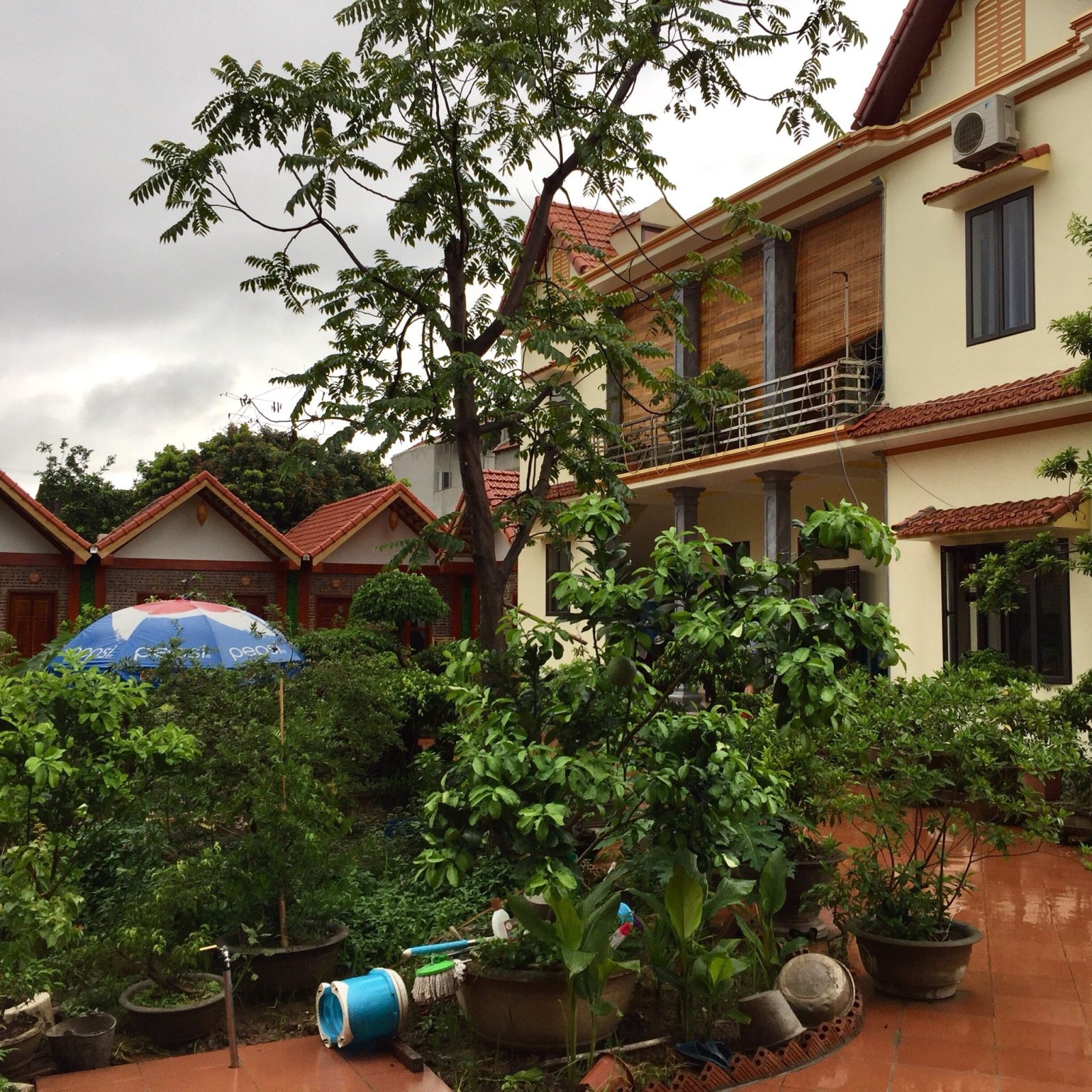 Tam Coc Cozy Homestay