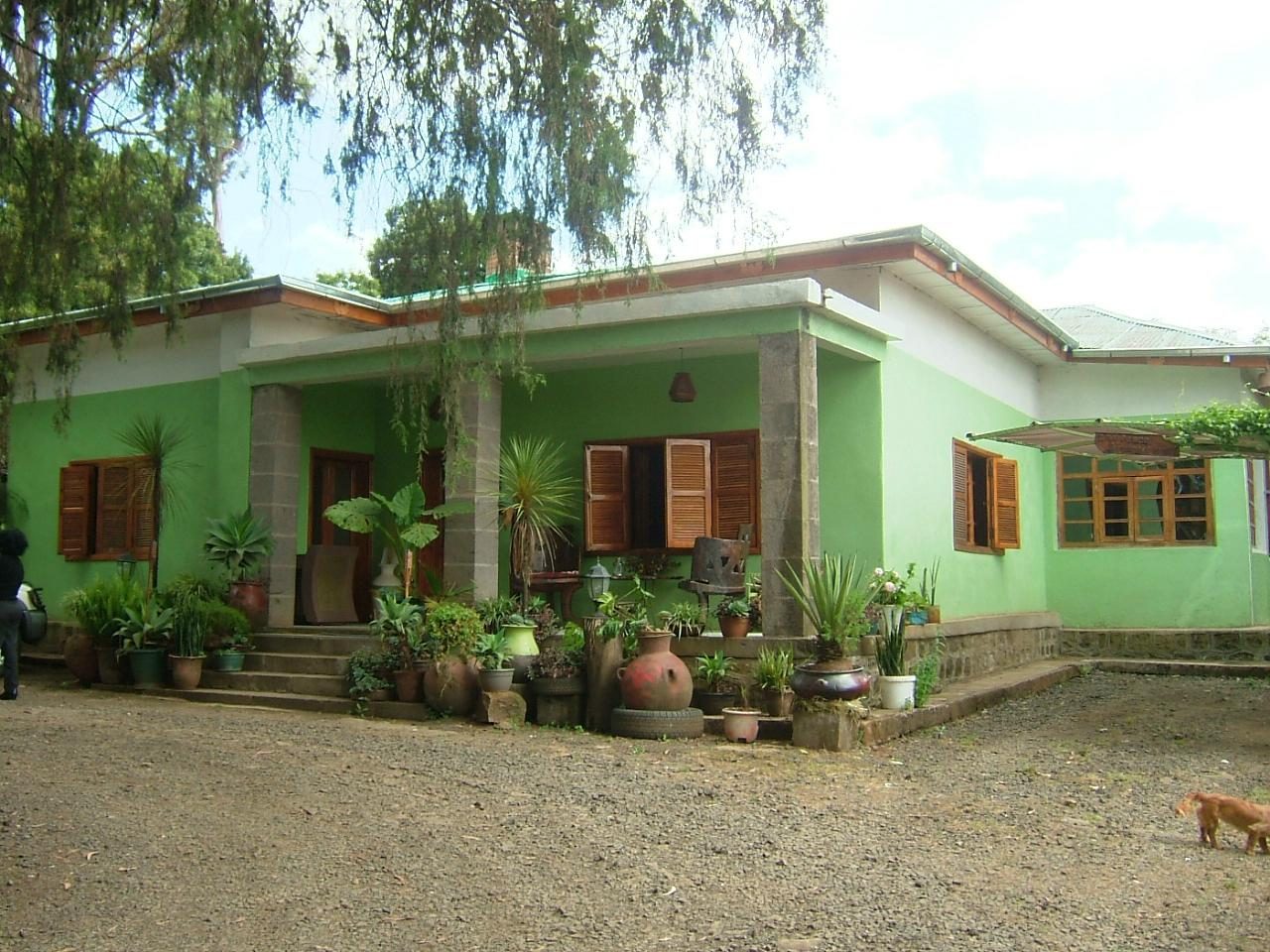 Abbaba's Villa