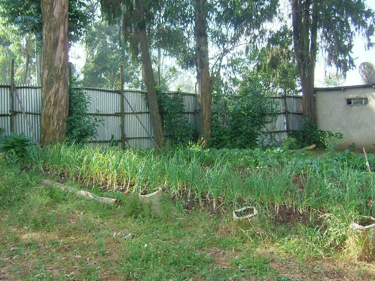 Abbaba's Villa