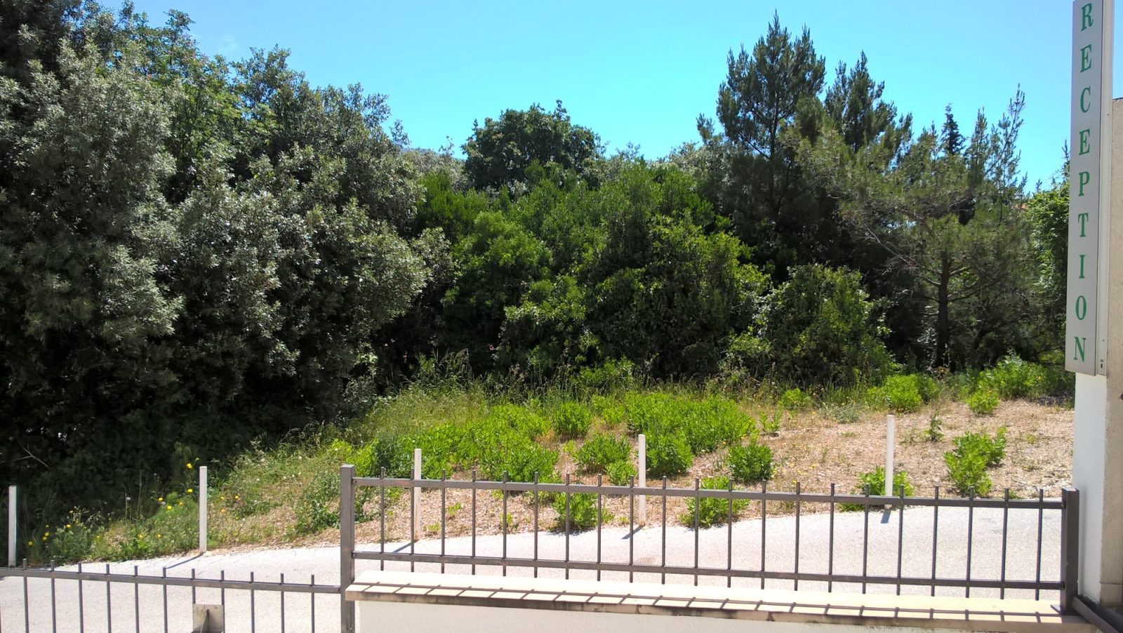 Villa Erna