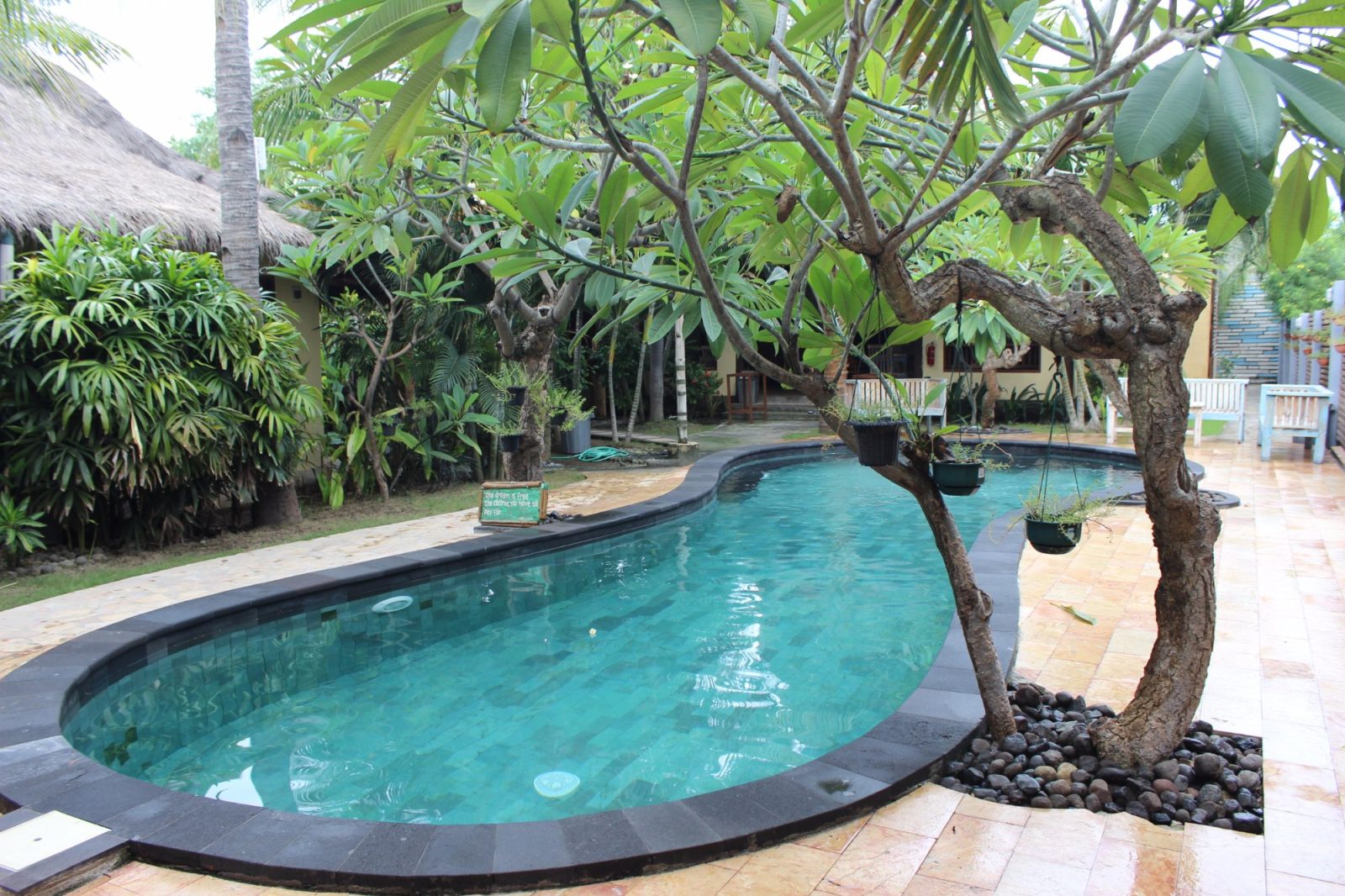 Coconut Dream Bungalows