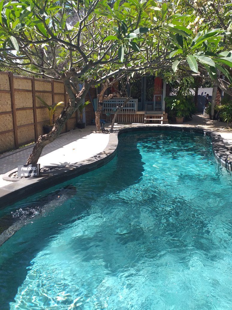 Coconut Dream Bungalows