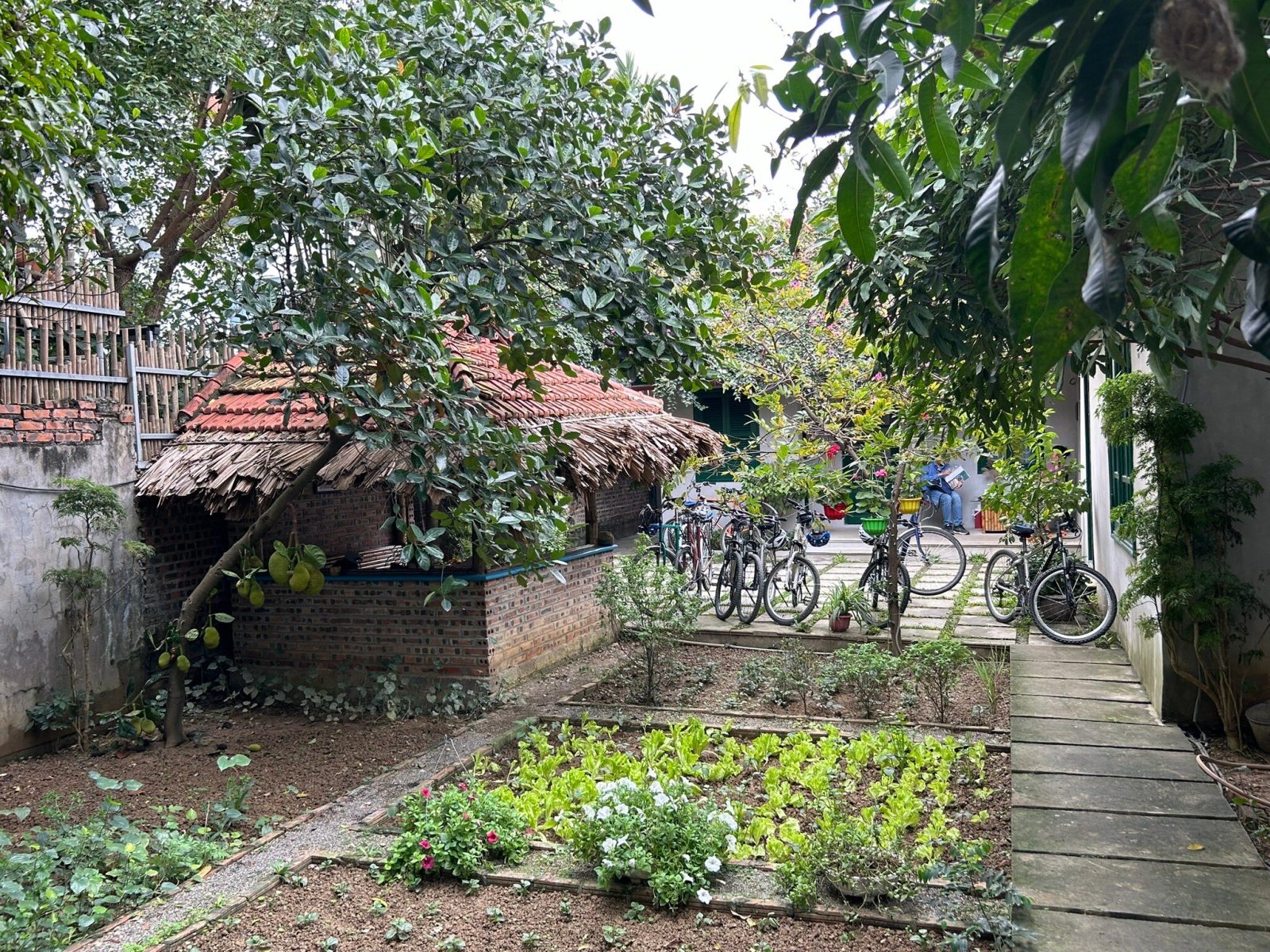 Tam Coc Eco House