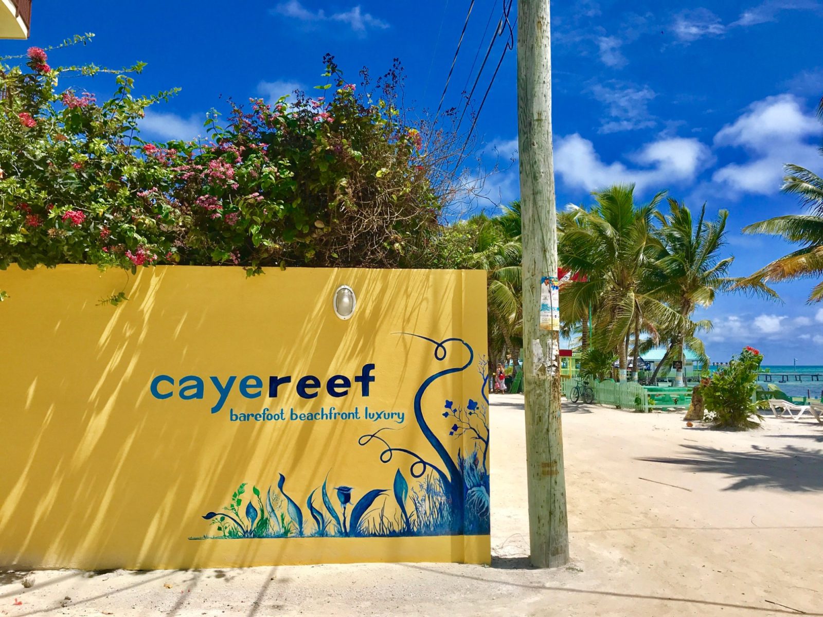 cayereef hotel caye caulker