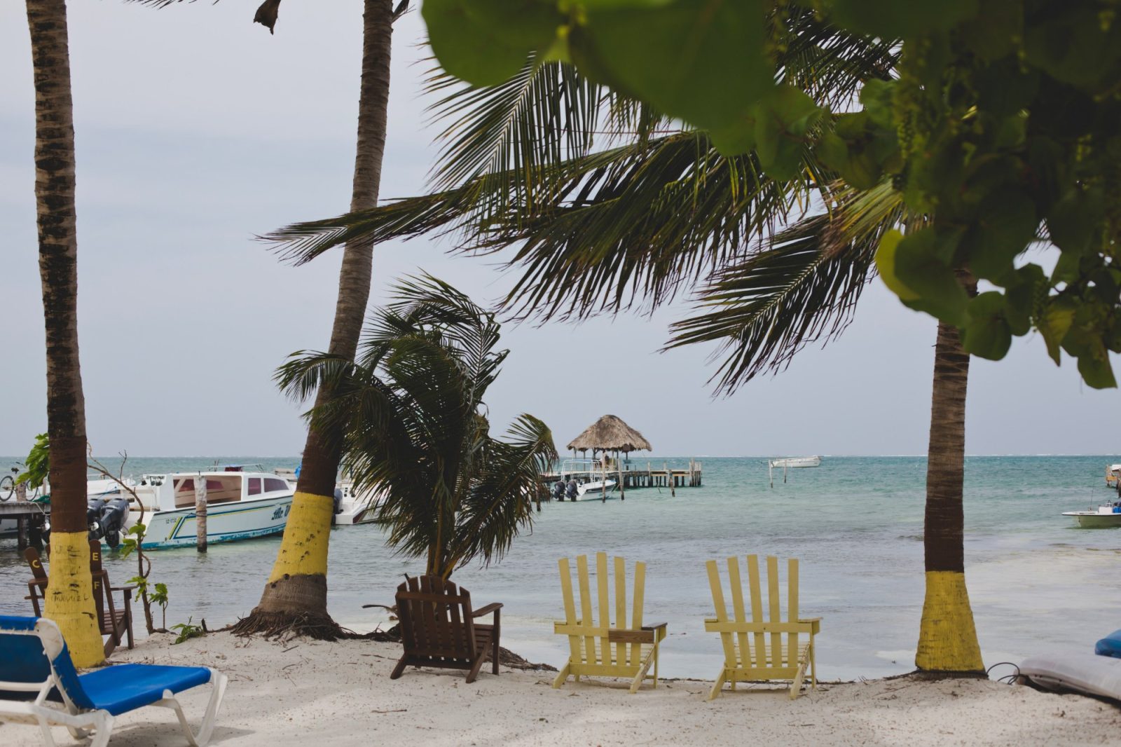 cayereef hotel caye caulker