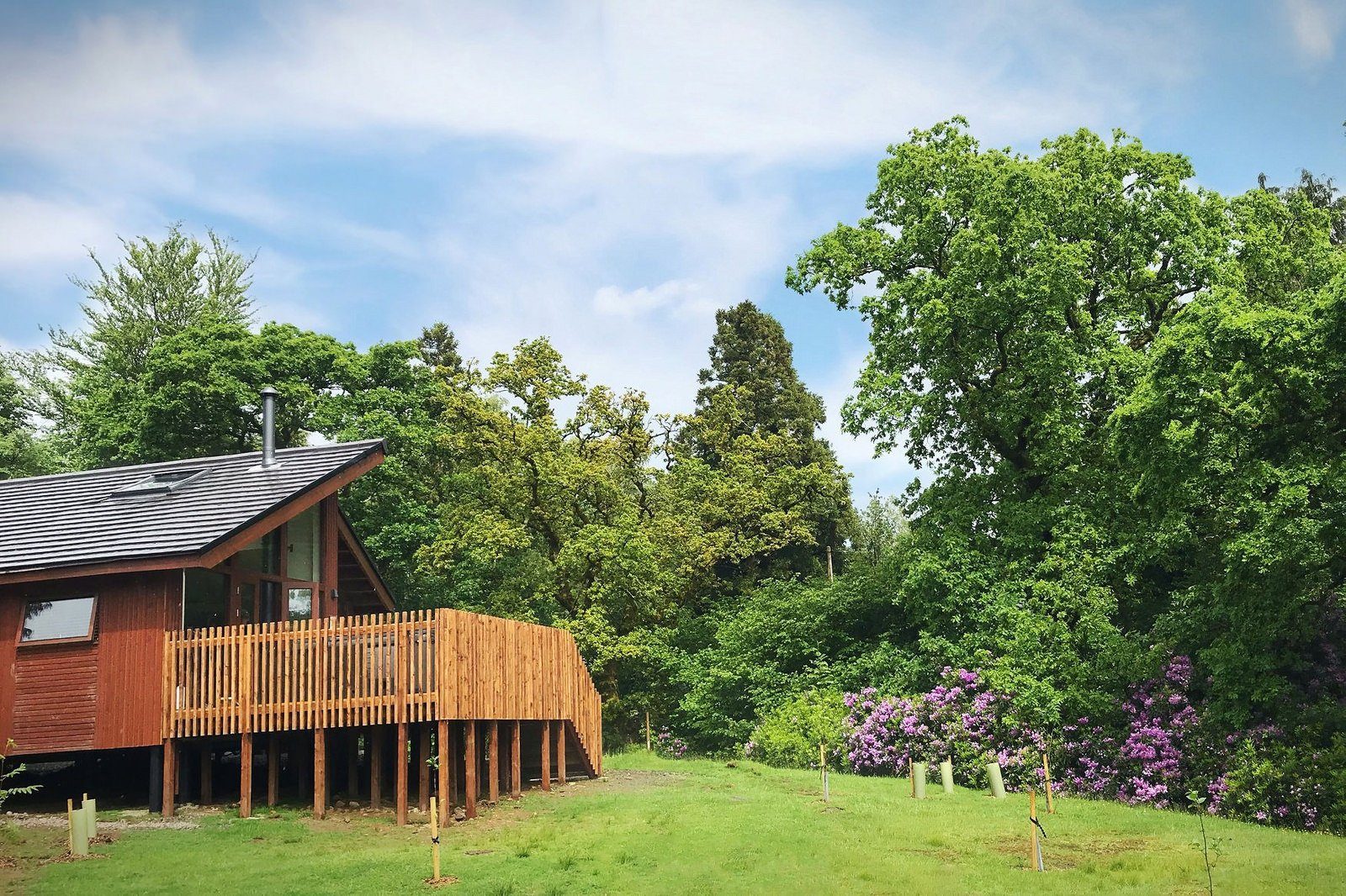 Forest Holidays Beddgelert Snowdonia
