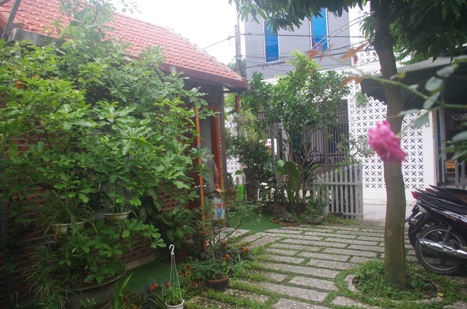 Center Tam Coc Homestay