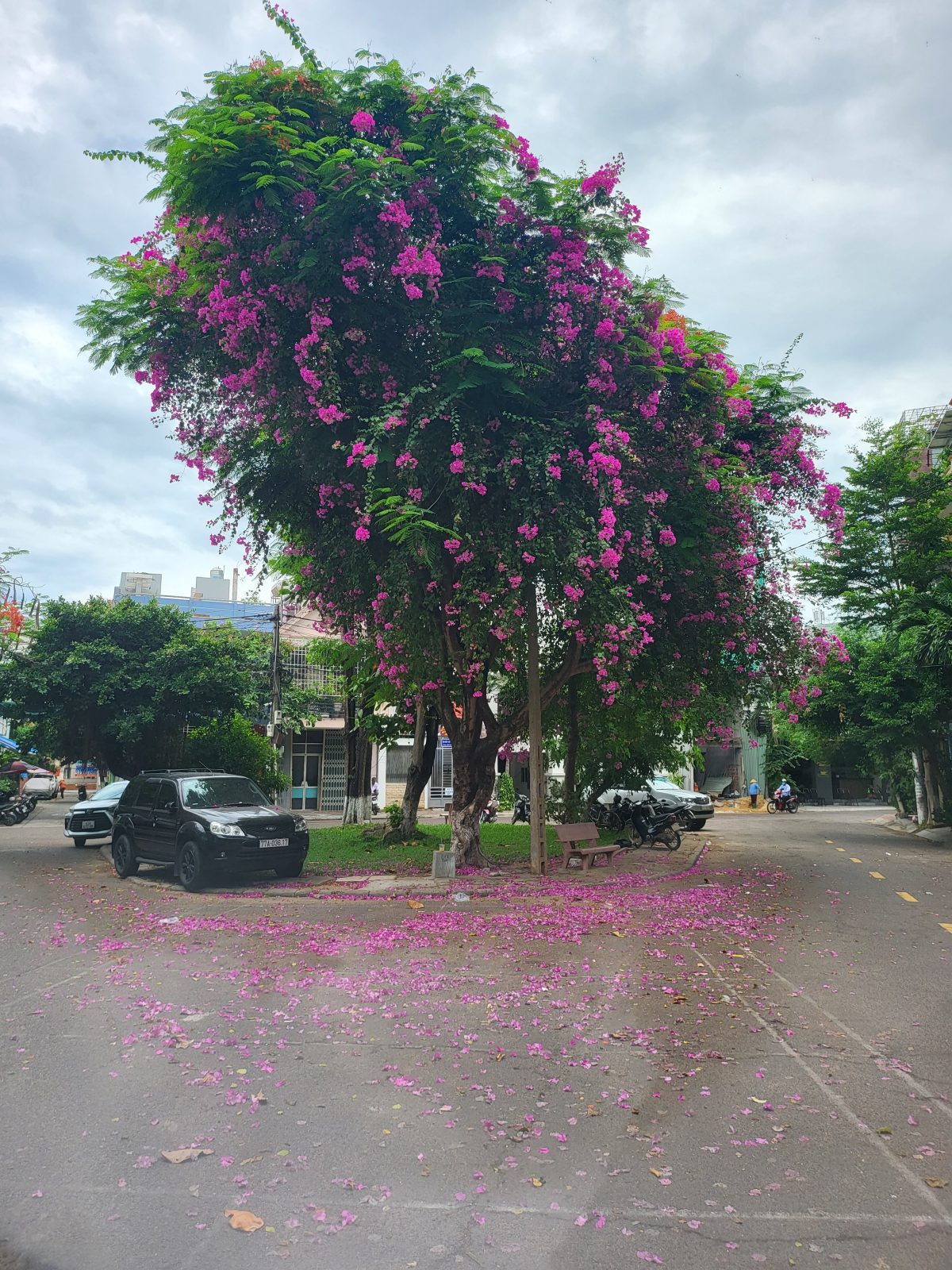 Quy Nhon Center