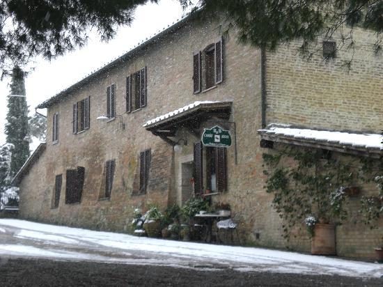 Podere le vigne