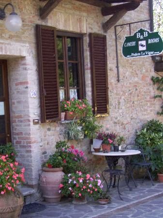 Podere le vigne