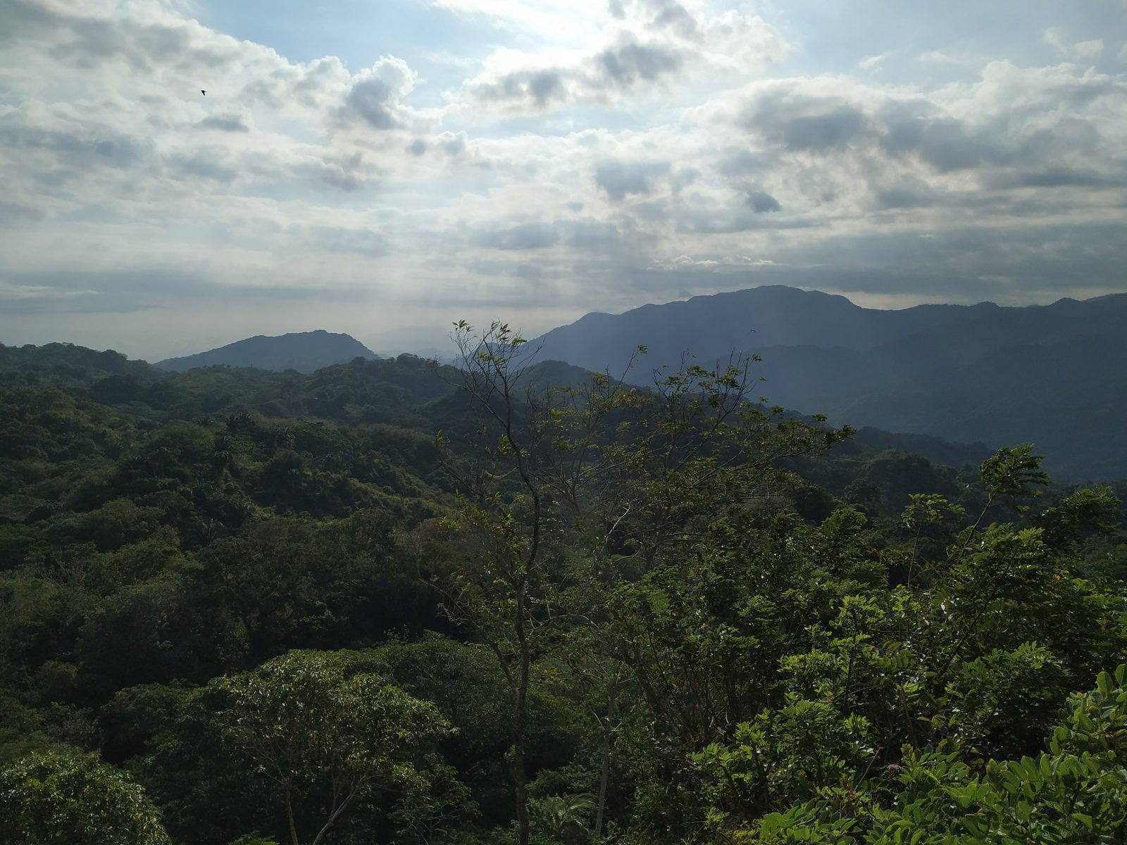 La Cima Tayrona