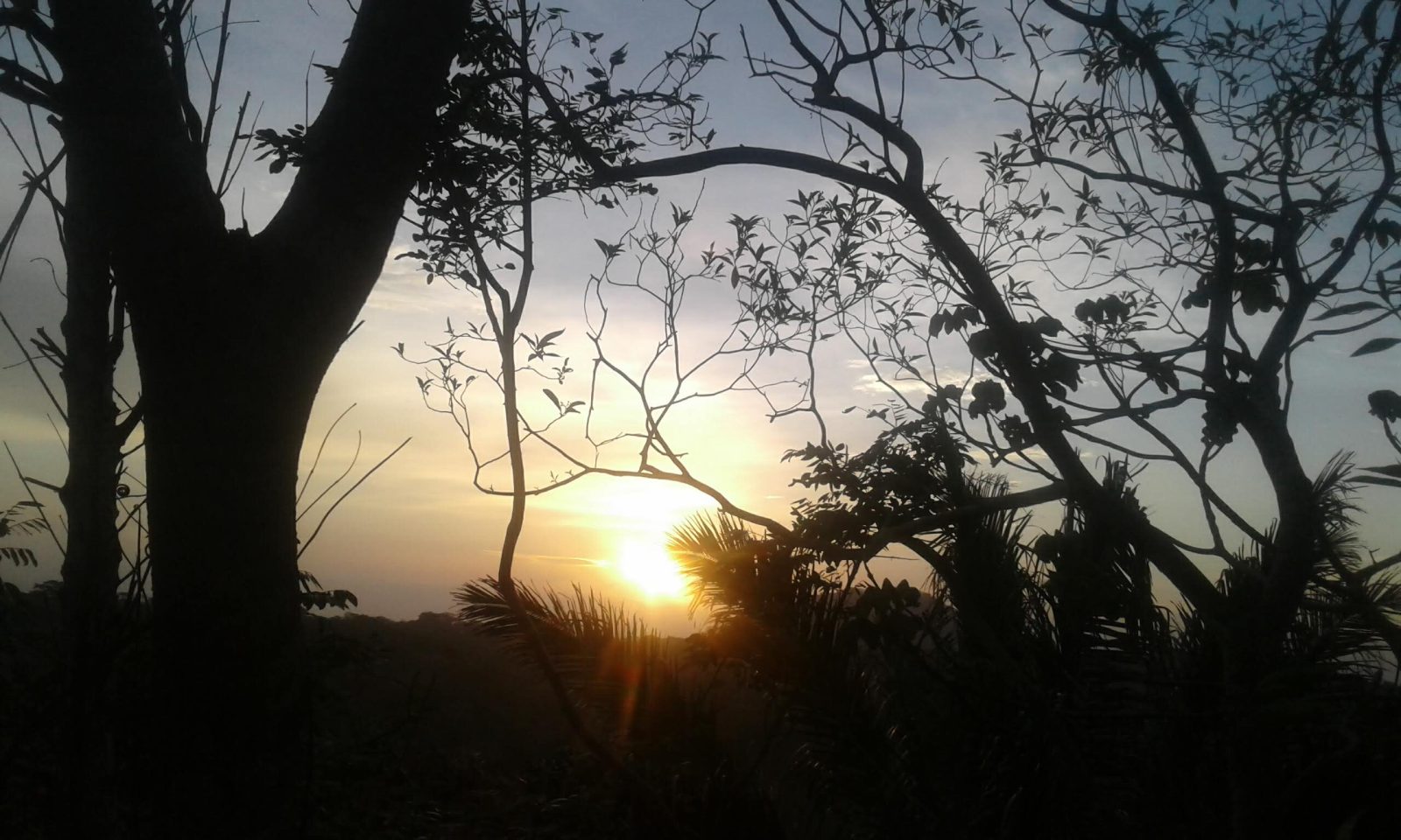 La Cima Tayrona