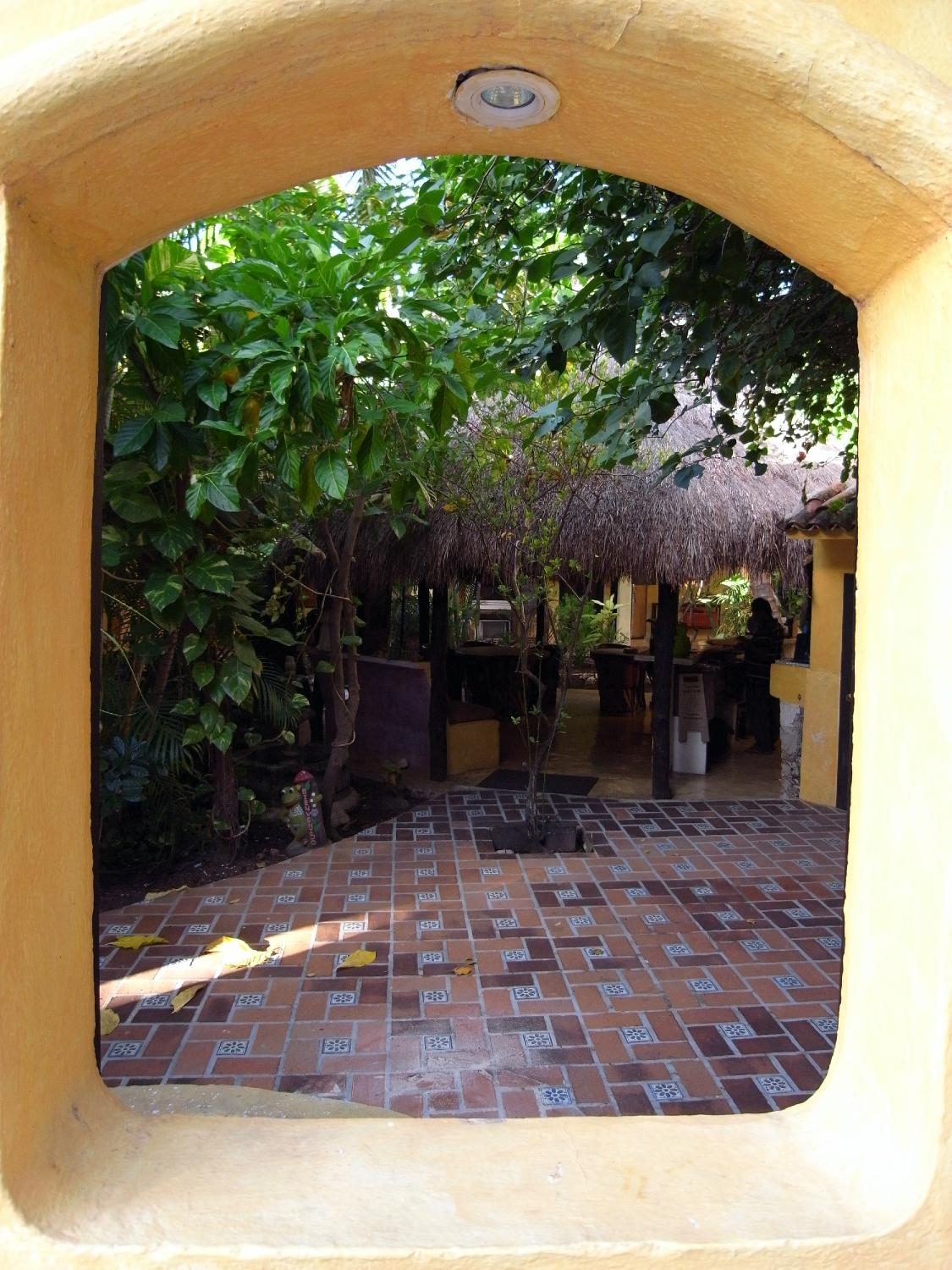 la rana cansada hotel playa del carmen