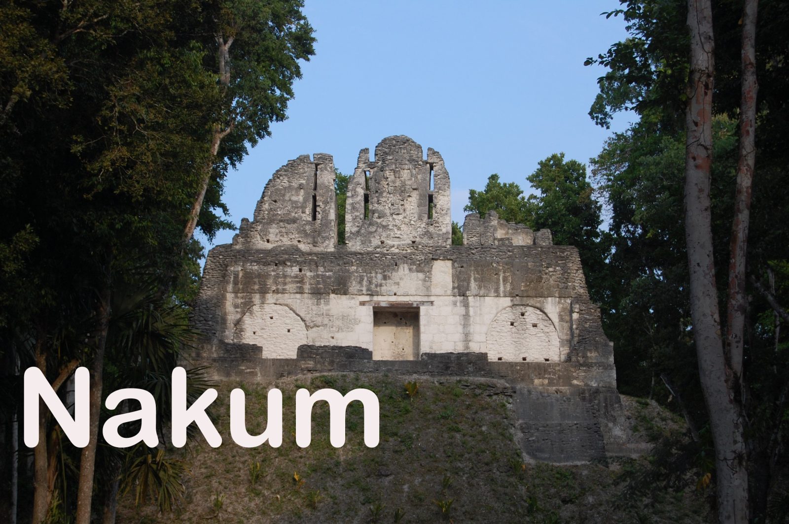 Casa Tikal