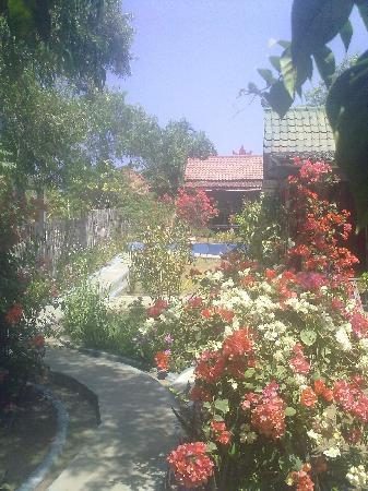 blu d`amare hotel gili trawangan