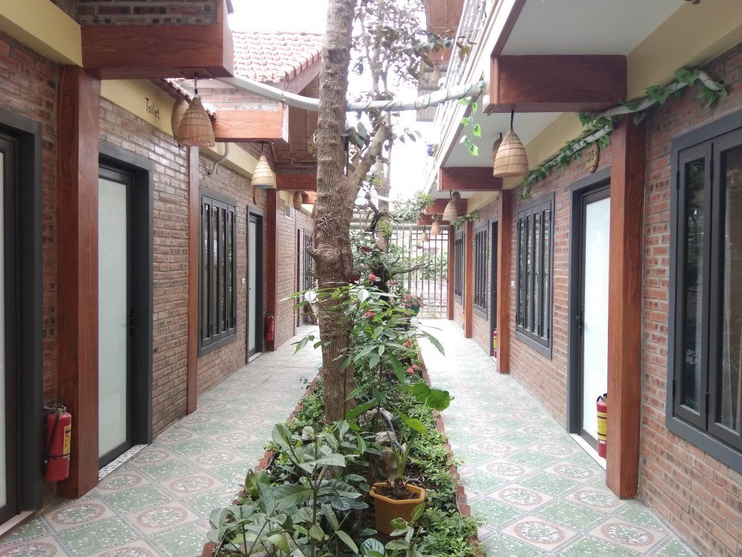 Tam Coc Paradise Homestay