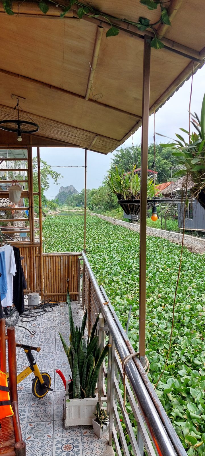 Tam Coc Paradise Homestay