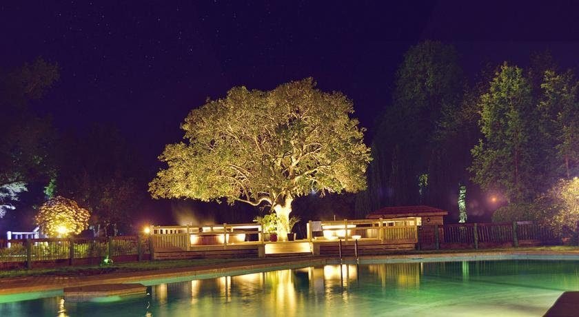 Hotel Pucon Green Park