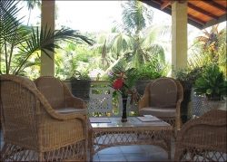 Palm Grove Guest House Unawatuna