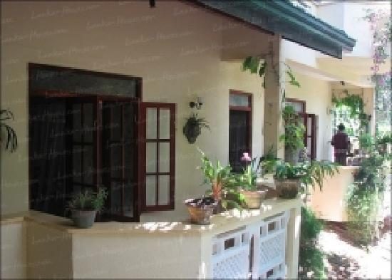 Palm Grove Guest House Unawatuna