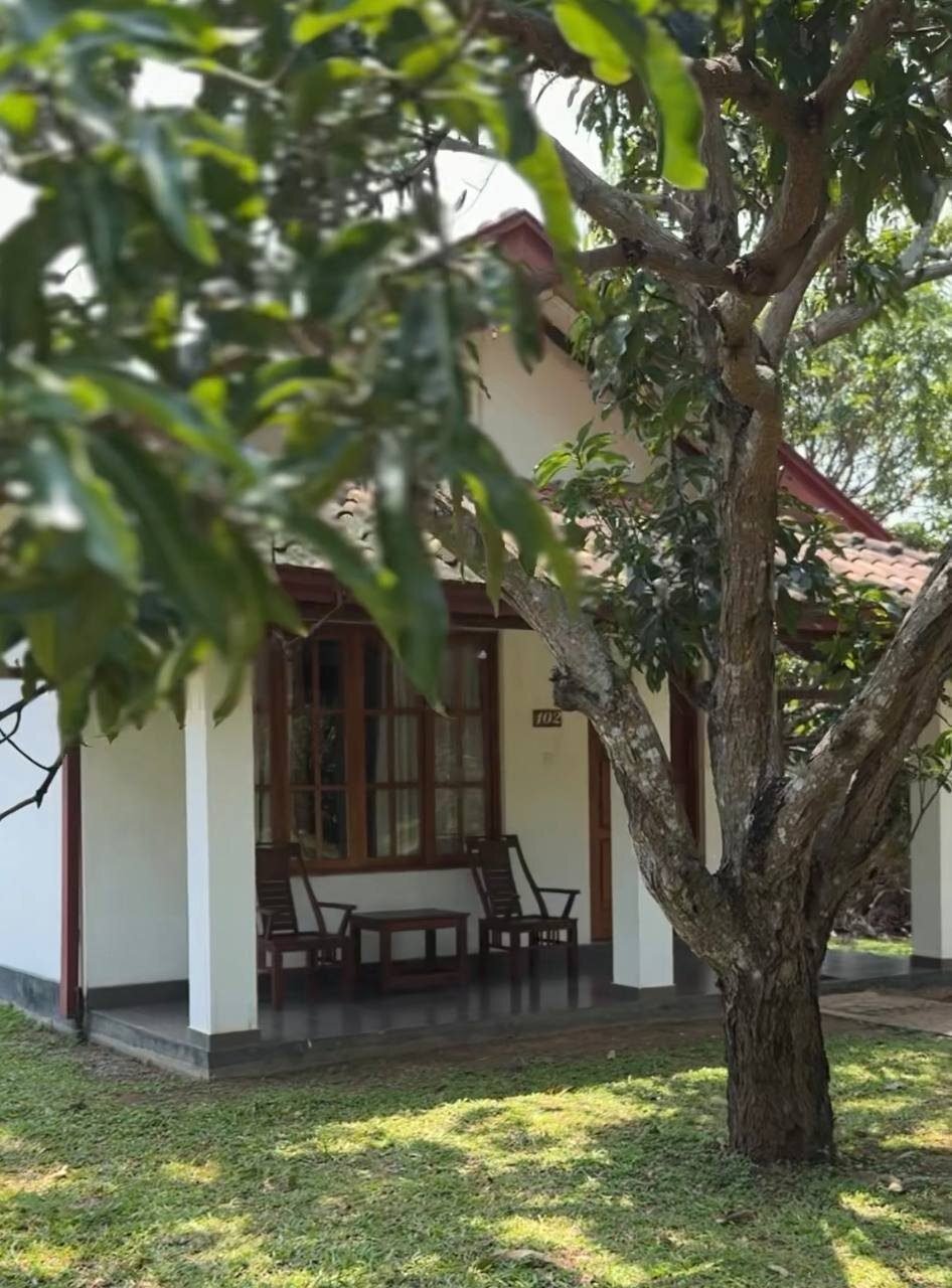 Dambulla Hills Resort
