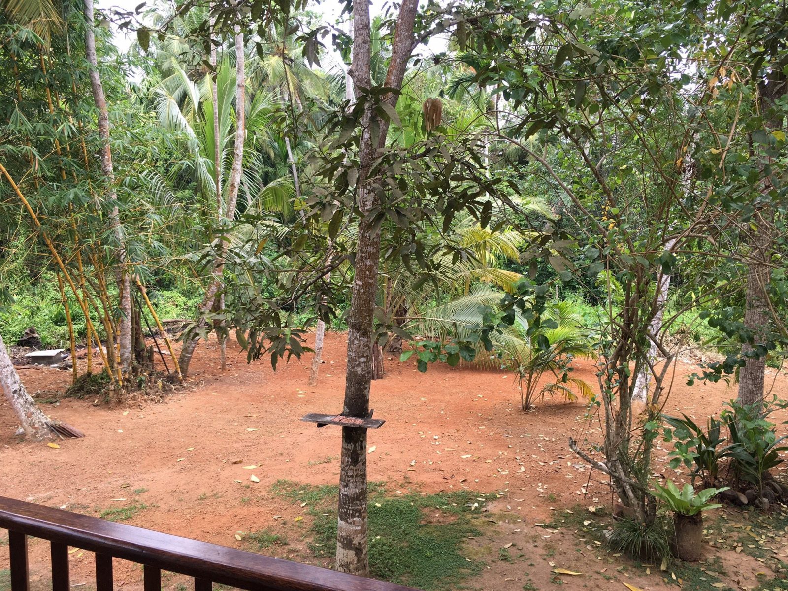 Sun Creek Hikkaduwa
