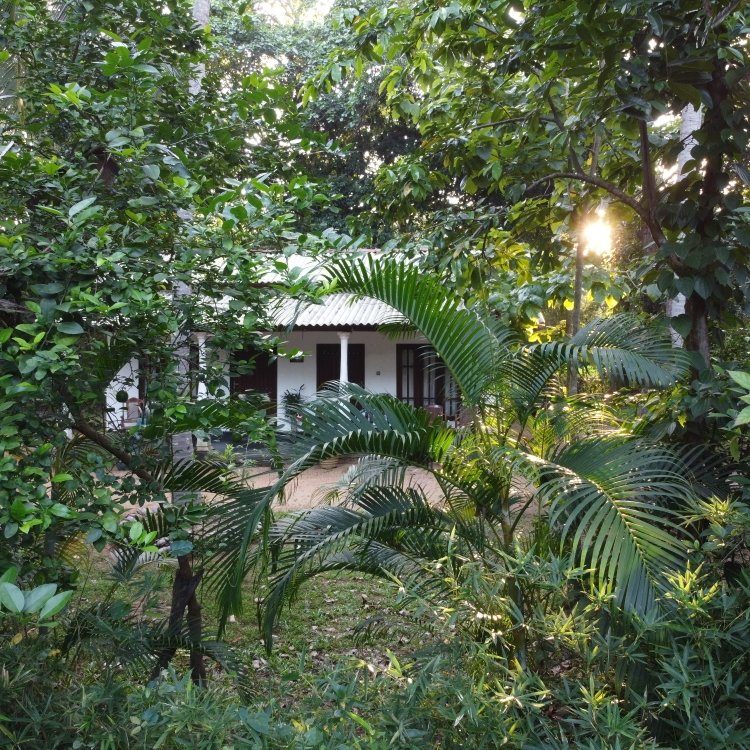 Venus Paradise Sigiriya